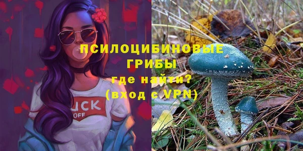соль ск Россошь