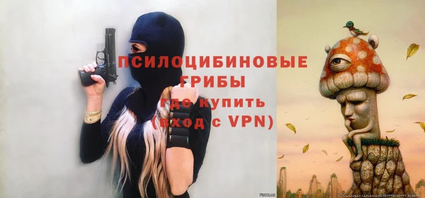 соль ск Россошь