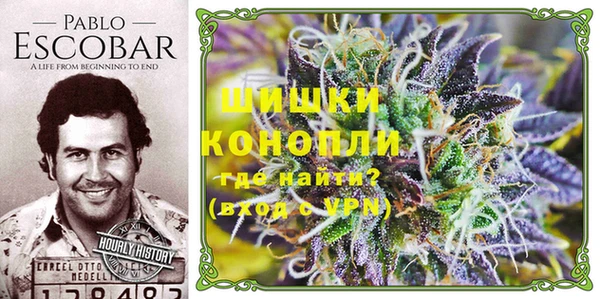 мдпв Ростов