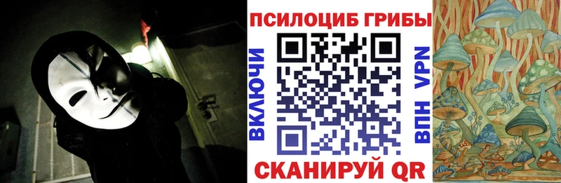 kraken ссылки  Чегем  сайты даркнета телеграм  Галлюциногенные грибы Cubensis 
