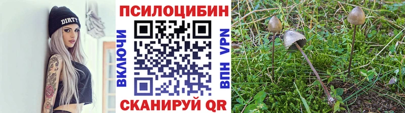 Галлюциногенные грибы Magic Shrooms Чегем