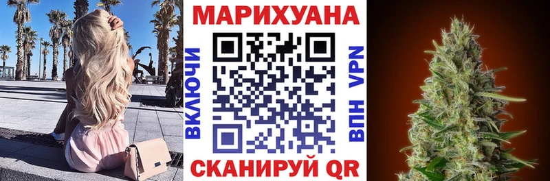 Бошки Шишки планчик  Чегем 